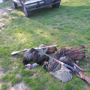 Meet your Posher, Gene